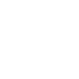 Elite Partyz logo